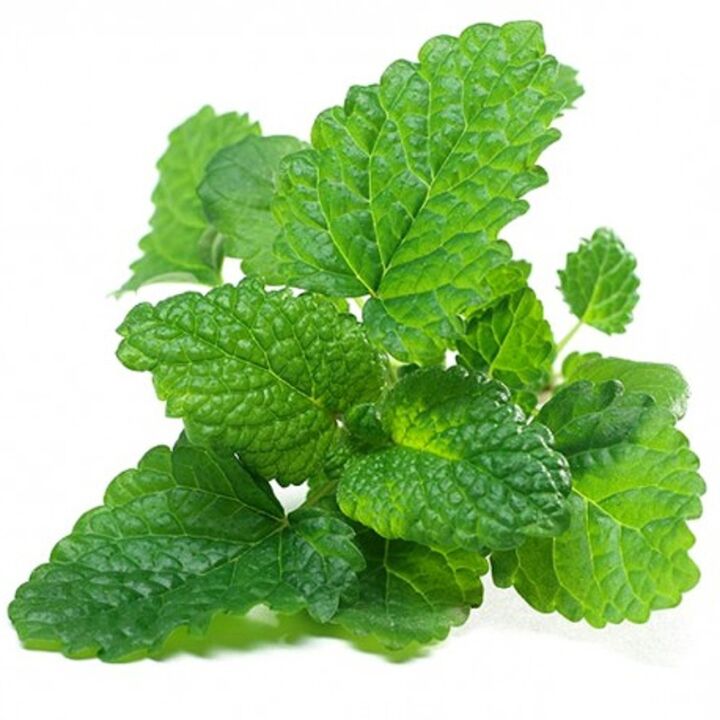 Lemon Balm in Syrup Welltone