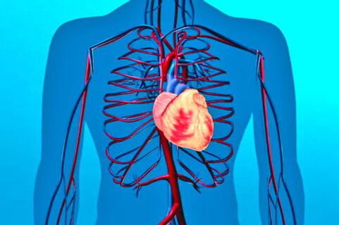 Weakening of the circulatory system is a risk factor for high blood pressure